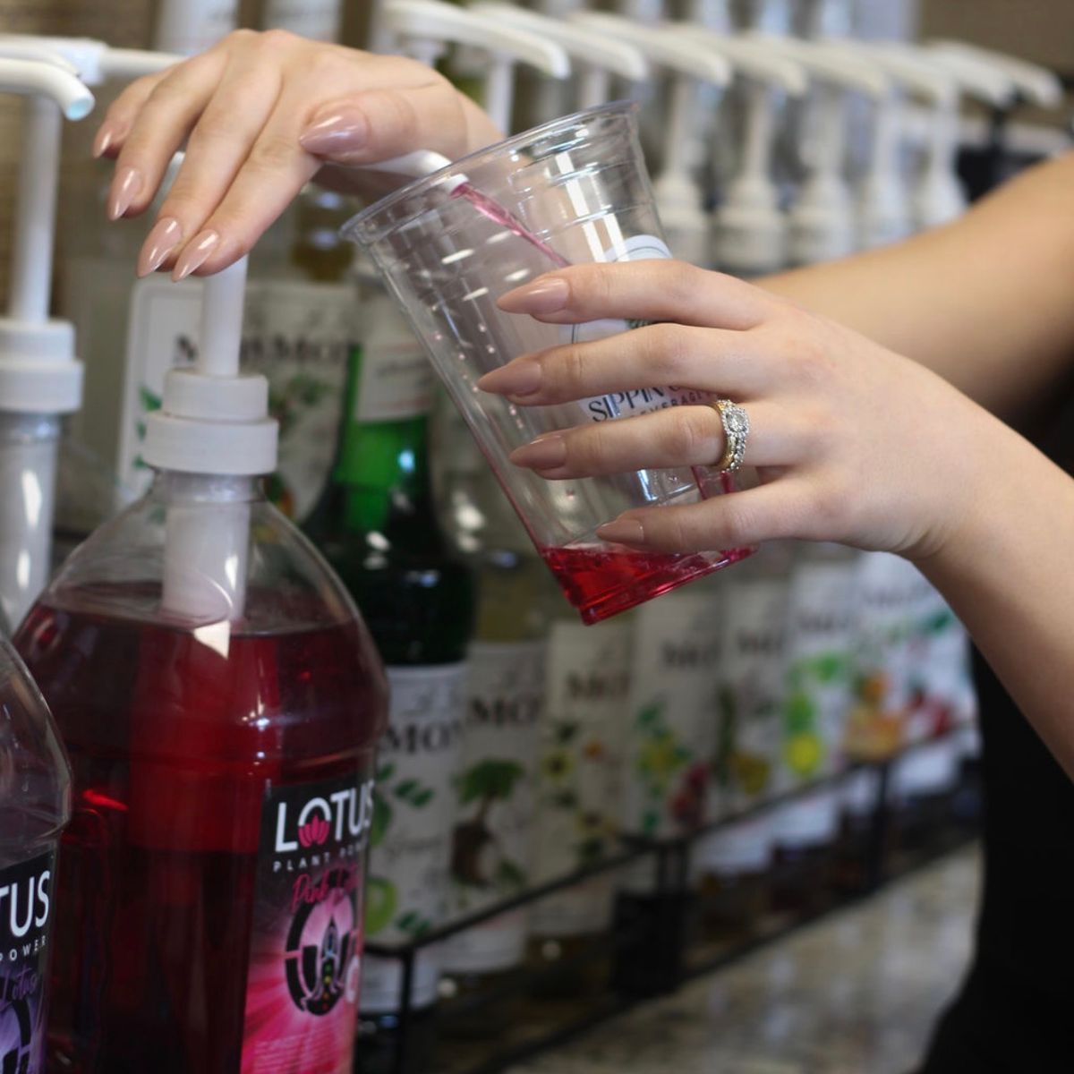 A Menu Made to Energize and Refresh